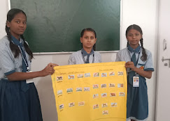 best school in punaichak